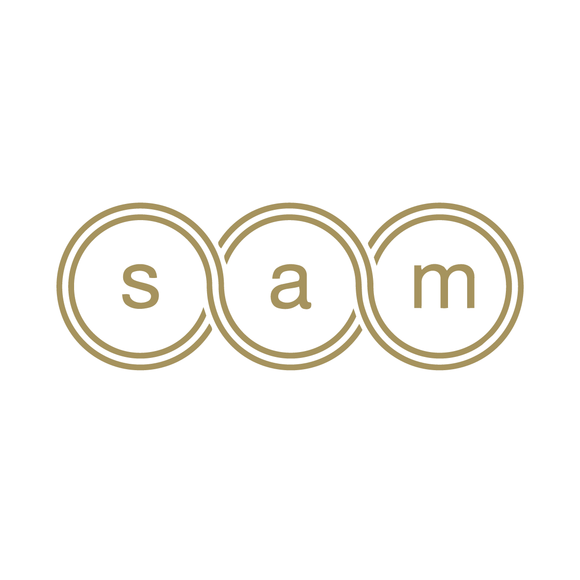 SAM.webp